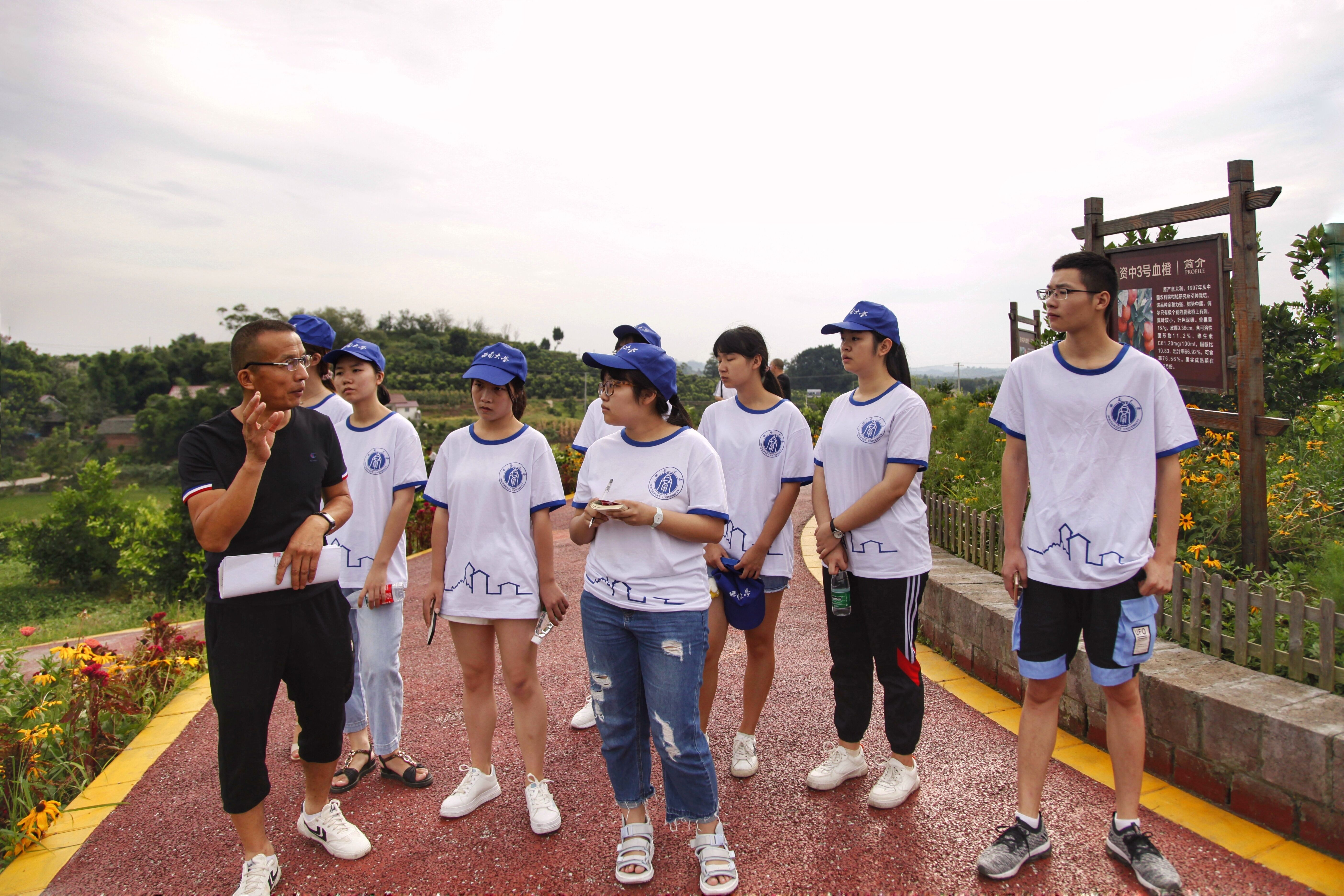 1.jpg PA视讯官网