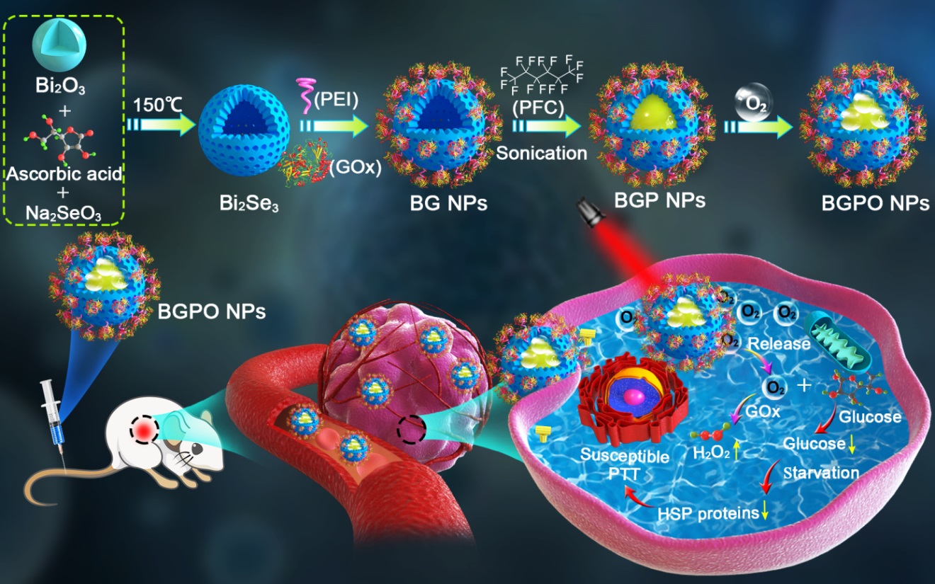 1-1.jpg PA视讯官网